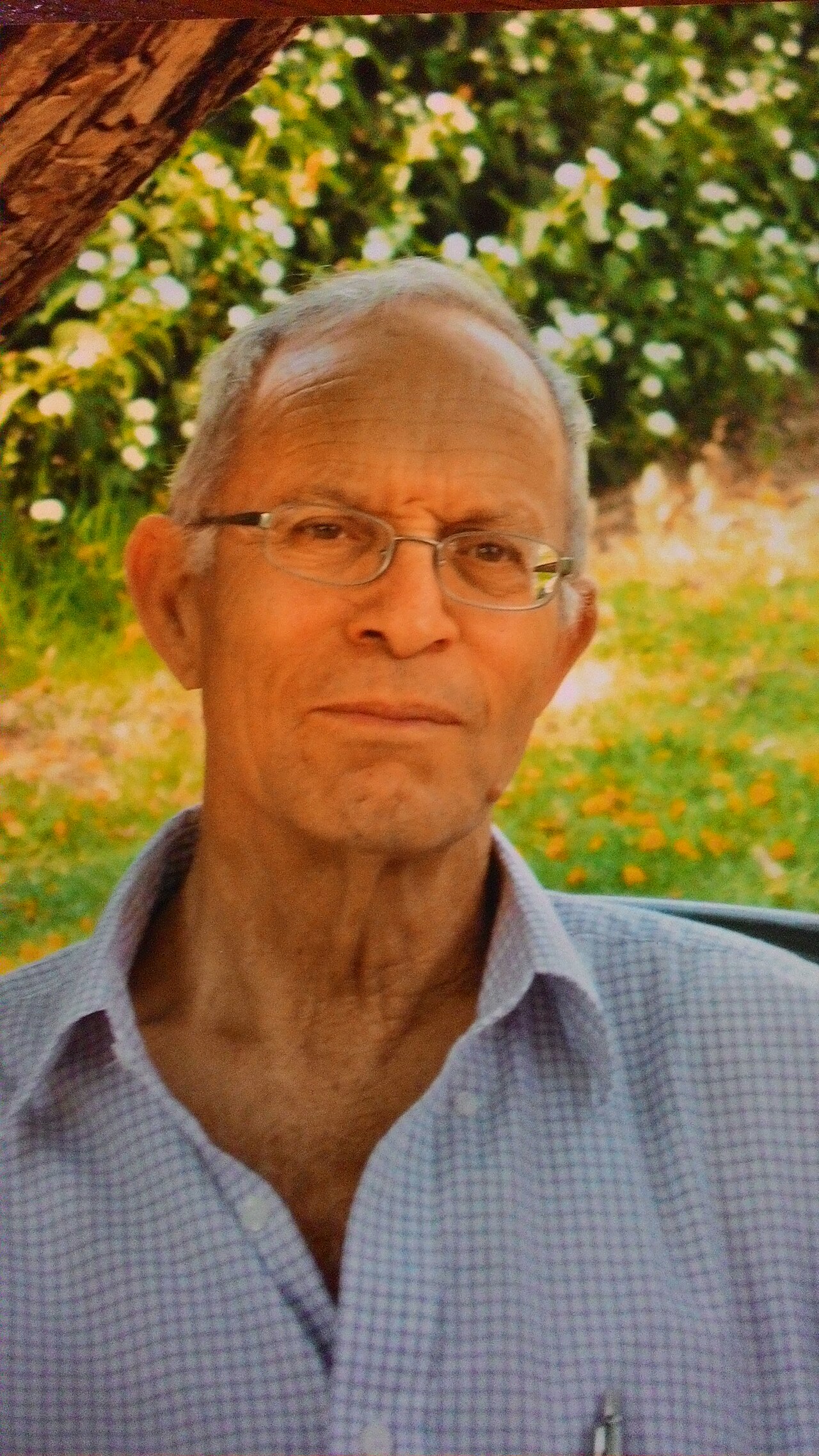 עמוס כרמל
