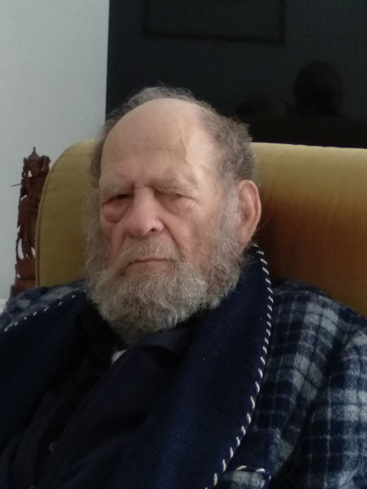 מאיר ריבקין